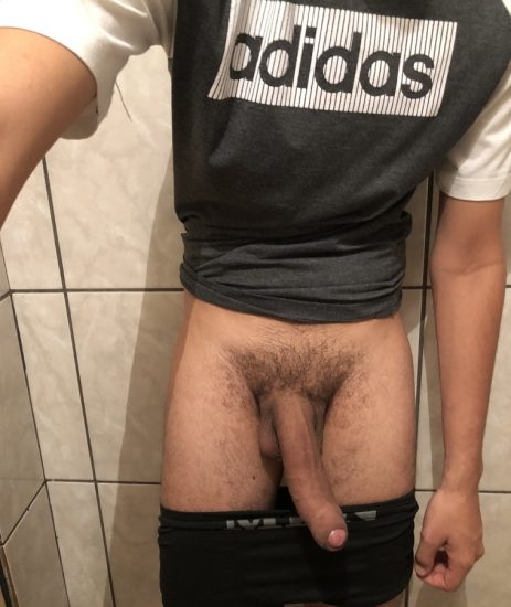 Big brown snake cock