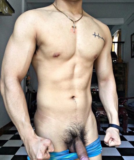 Erected hairy Asian dick