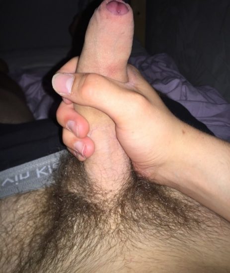 Hard and hairy uncut cock