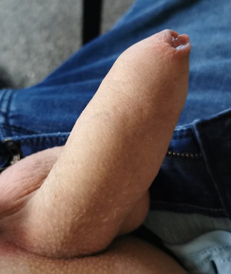 Uncut cock with shaved pubes